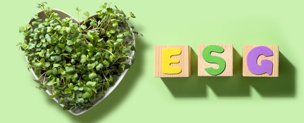 How does the ESG lead scoring work?